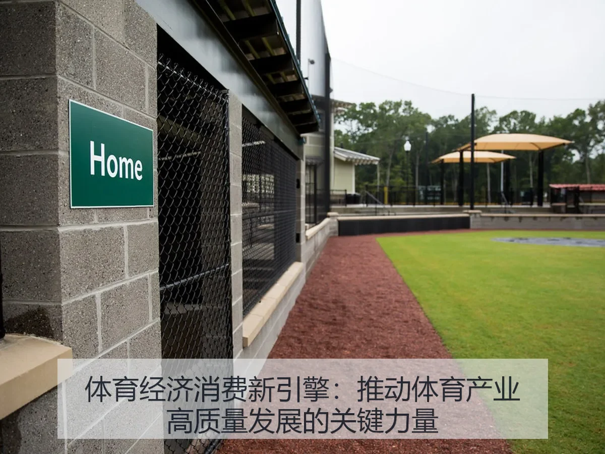 体育经济消费新引擎:推动体育产业高质量发展的关键力量
